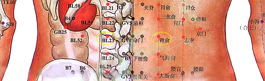 诺香依肾腧穴示意图.jpg